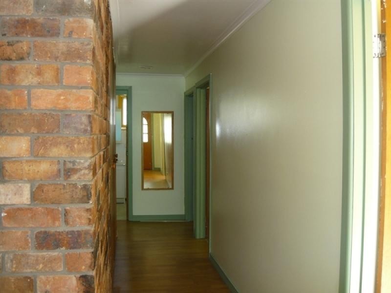550 South Springfield Road, South Springfield TAS 7260