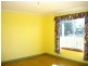 550 South Springfield Road, South Springfield TAS 7260
