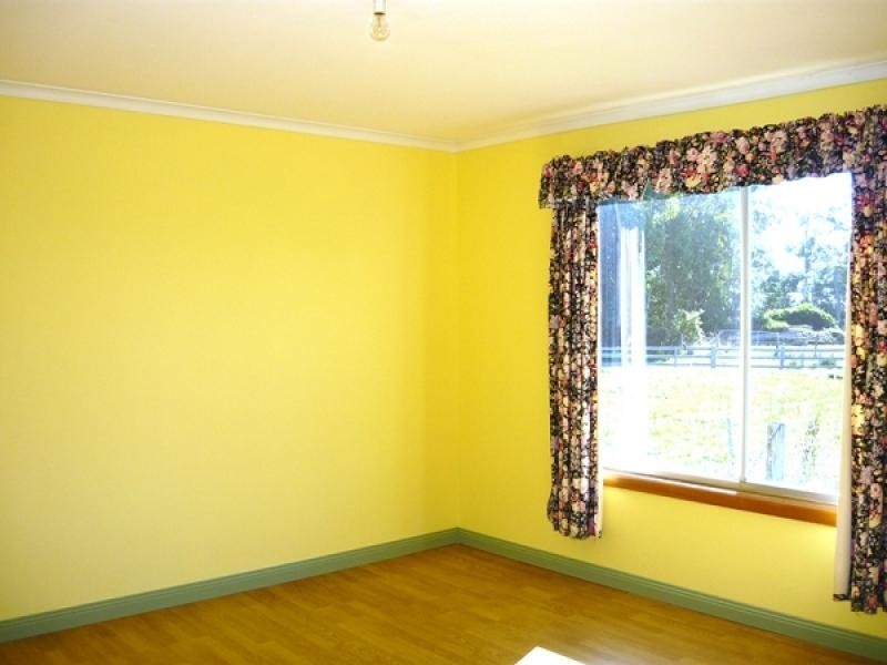550 South Springfield Road, South Springfield TAS 7260