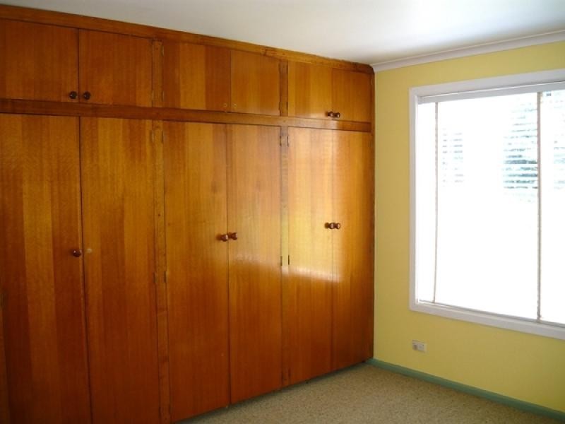 550 South Springfield Road, South Springfield TAS 7260