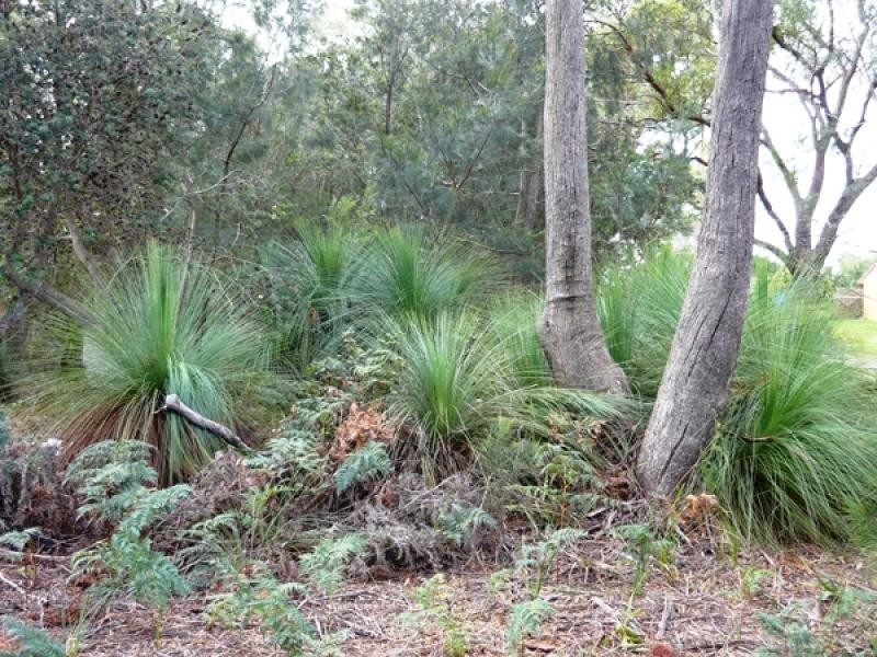 2565 Gladstone Road, Gladstone TAS 7264