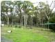 2565 Gladstone Road, Gladstone TAS 7264