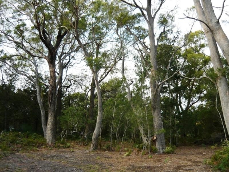 2565 Gladstone Road, Gladstone TAS 7264