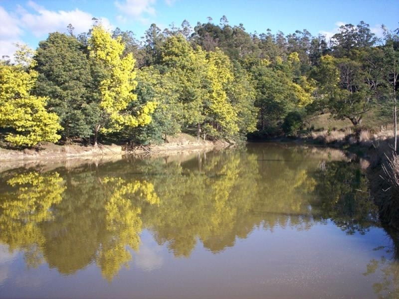 Lot 2 Saltmarsh Road, Springfield TAS 7260