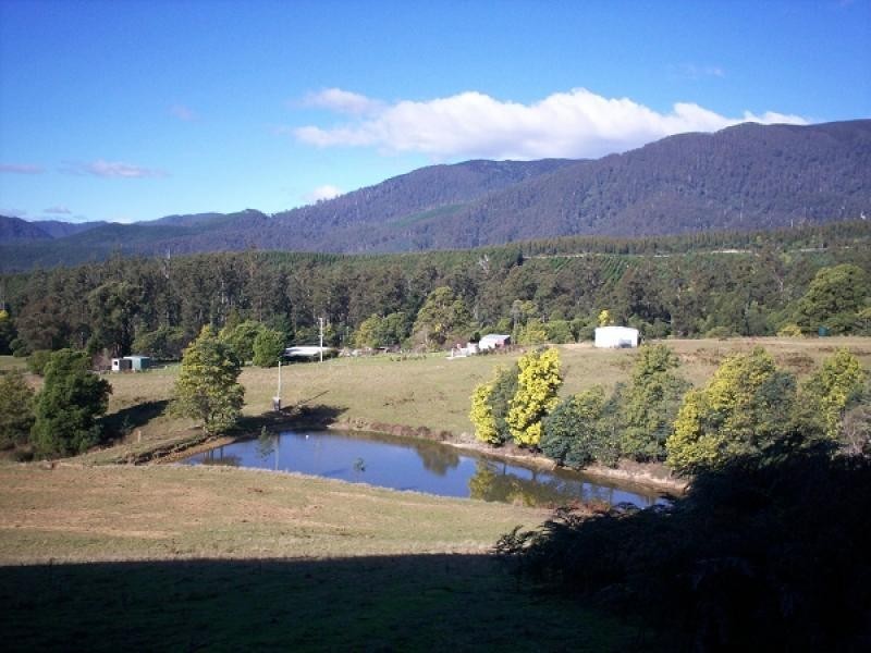 Lot 2 Saltmarsh Road, Springfield TAS 7260