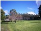 Lot 2 Saltmarsh Road, Springfield TAS 7260