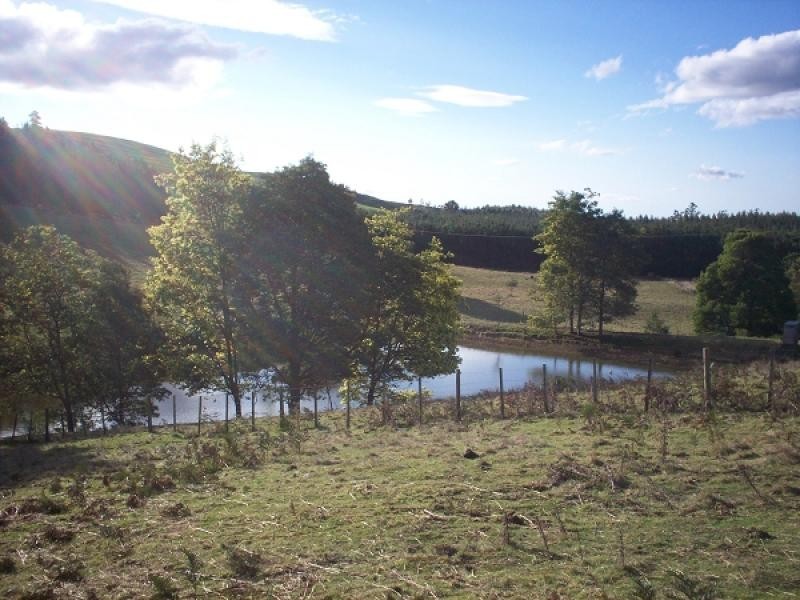 Lot 2 Saltmarsh Road, Springfield TAS 7260