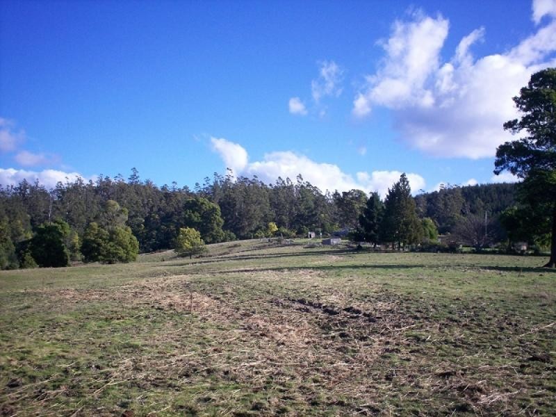 Lot 2 Saltmarsh Road, Springfield TAS 7260