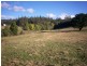 Lot 2 Saltmarsh Road, Springfield TAS 7260