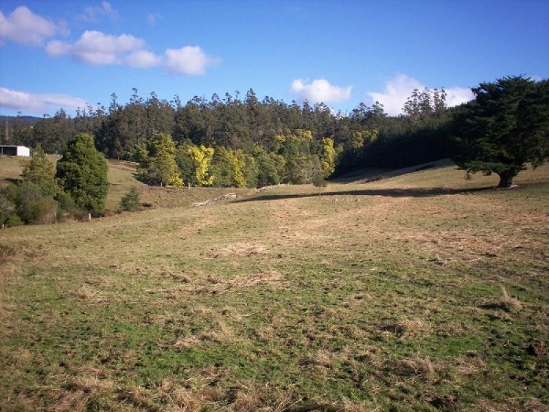 Lot 2 Saltmarsh Road, Springfield TAS 7260