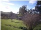 Lot 2 Saltmarsh Road, Springfield TAS 7260