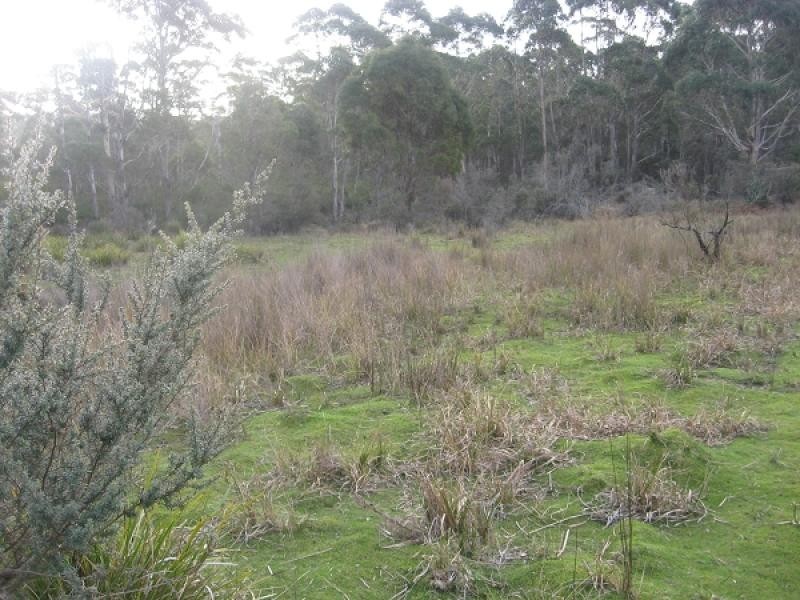 Lot 26319, 663 Garibaldi Road, Pioneer TAS 7264