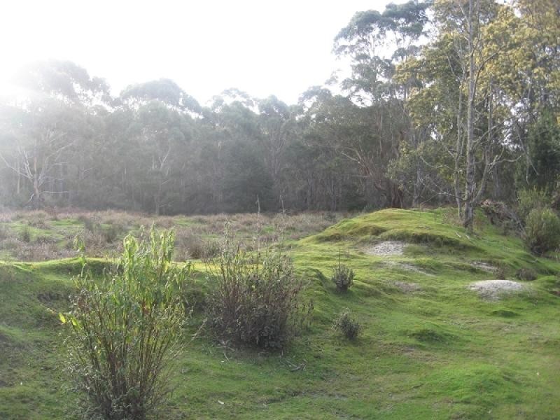 Lot 26319, 663 Garibaldi Road, Pioneer TAS 7264