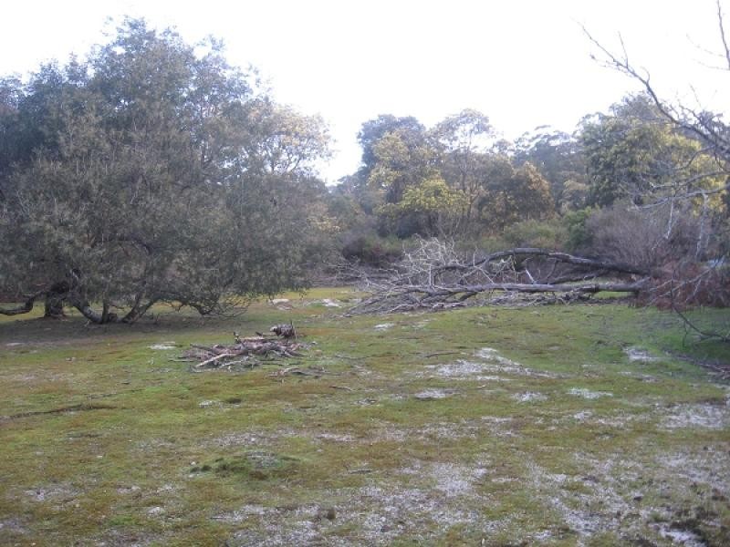 Lot 26319, 663 Garibaldi Road, Pioneer TAS 7264