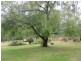 8 Pipers River Road, Underwood TAS 7268