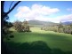 500 Lisle Road, Nabowla TAS 7260