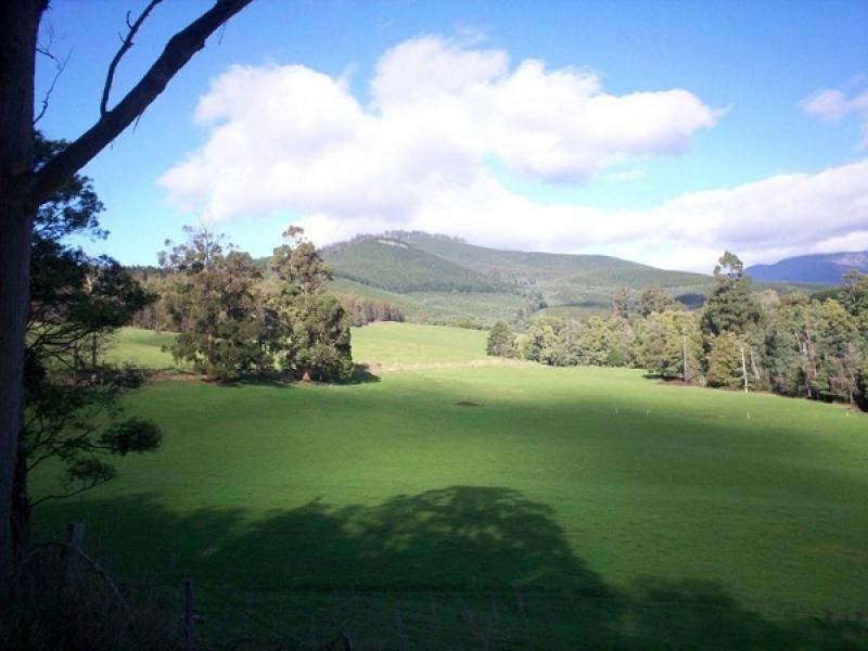 500 Lisle Road, Nabowla TAS 7260