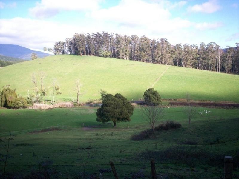 500 Lisle Road, Nabowla TAS 7260