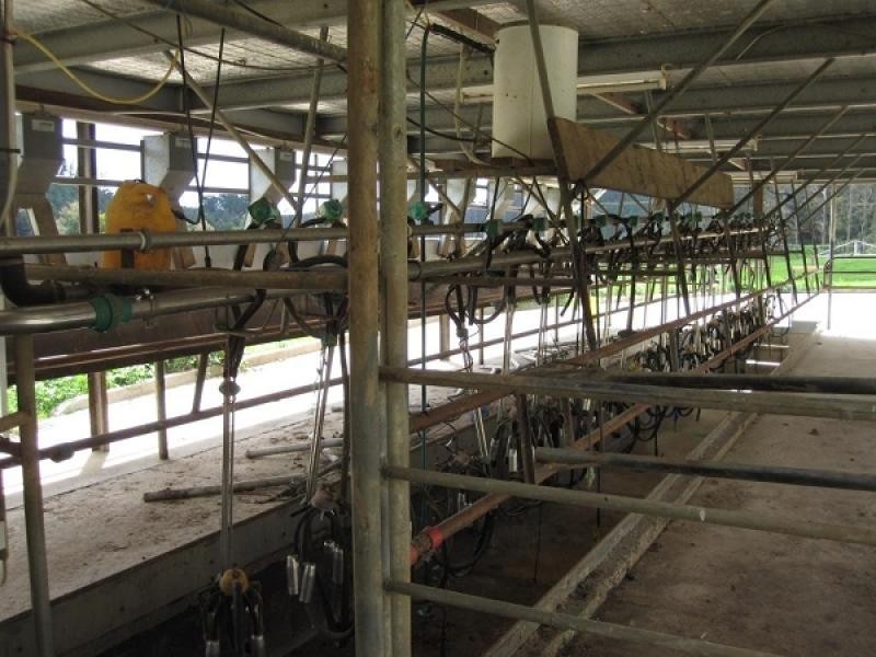 500 Lisle Road, Nabowla TAS 7260