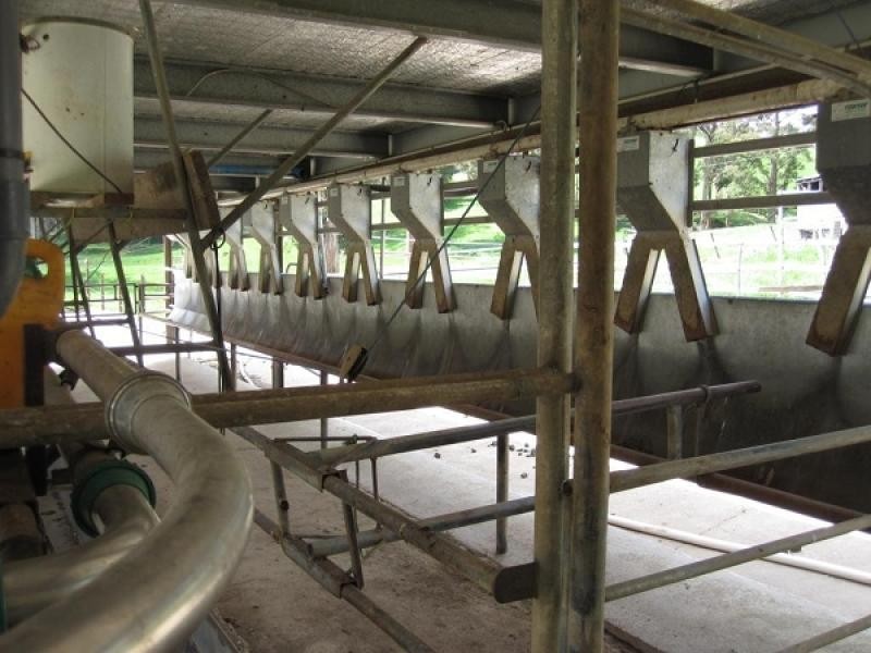 500 Lisle Road, Nabowla TAS 7260