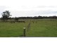 1800 Bridport Road, Bridport TAS 7262