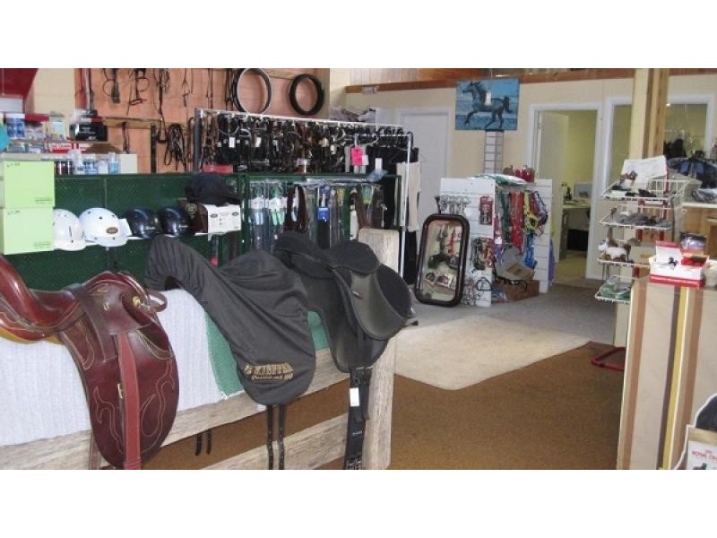 32 Ellenor Street, Scottsdale TAS 7260