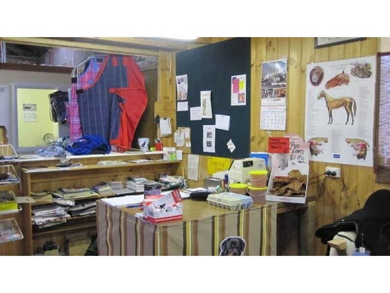 32 Ellenor Street, Scottsdale TAS 7260