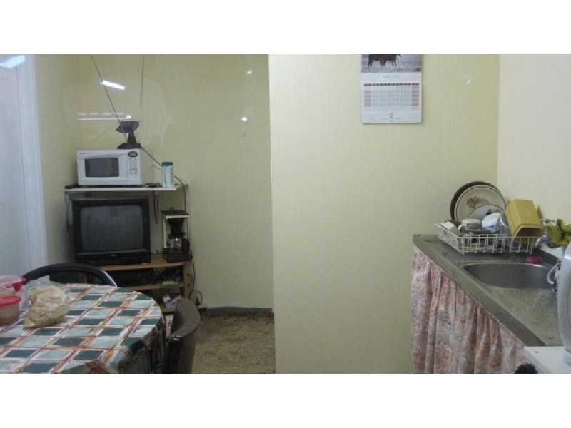 32 Ellenor Street, Scottsdale TAS 7260