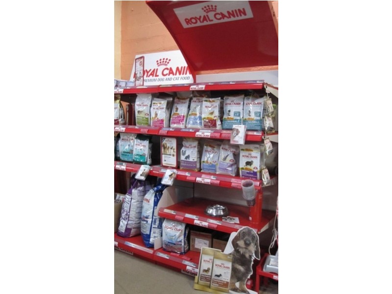 32 Ellenor Street, Scottsdale TAS 7260