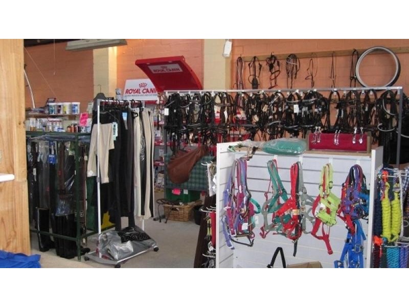 32 Ellenor Street, Scottsdale TAS 7260