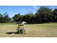58 King Street, Scottsdale TAS 7260