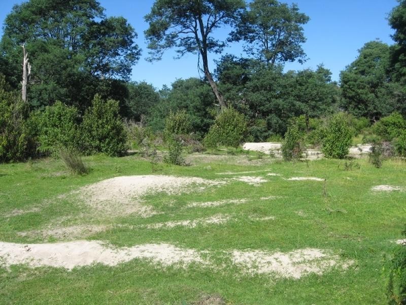 Lot 26319/663 Garibaldi Road, Pioneer TAS 7264