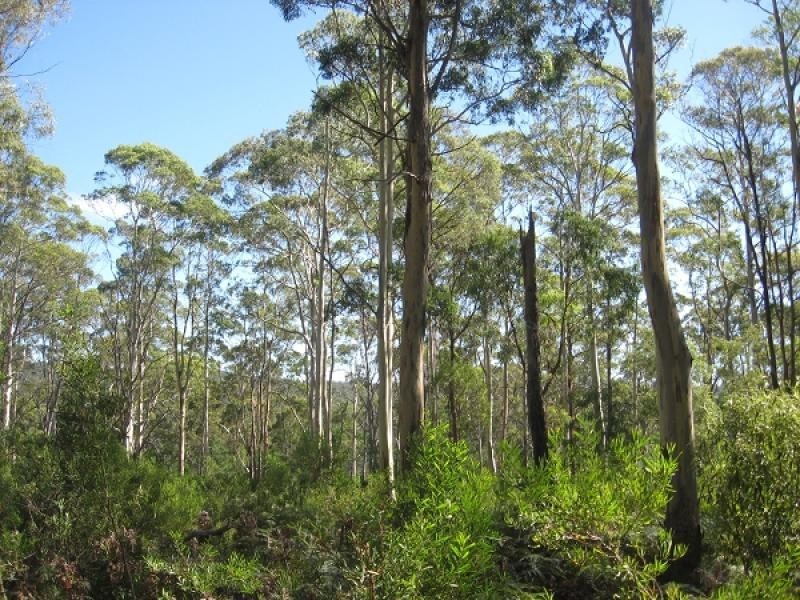 Lot 26319/663 Garibaldi Road, Pioneer TAS 7264