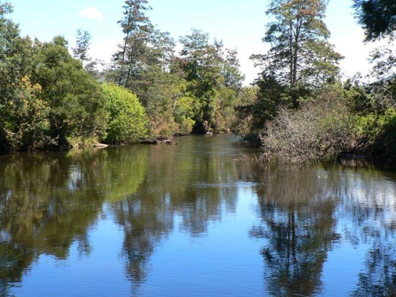 . CAMENA ROAD, West Pine TAS 7316