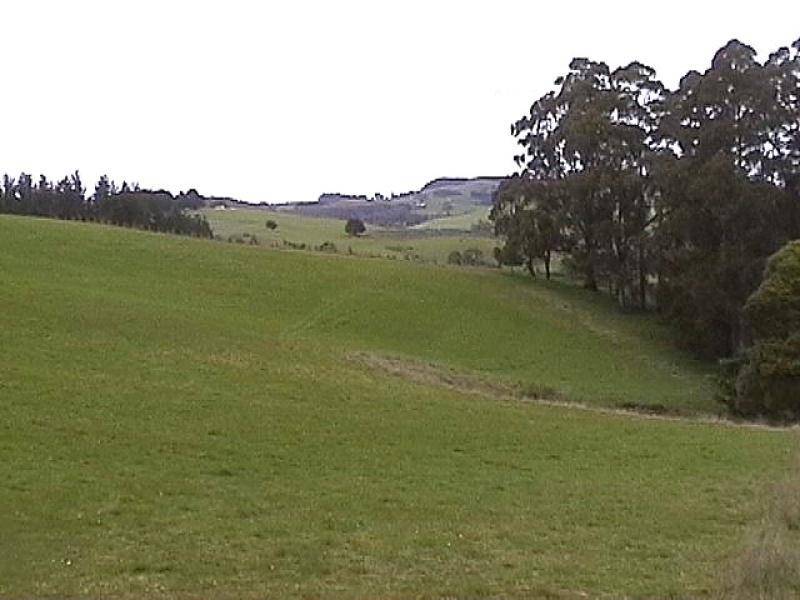. CAMENA ROAD, West Pine TAS 7316