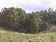 . CAMENA ROAD, West Pine TAS 7316