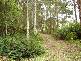 . CAMENA ROAD, West Pine TAS 7316