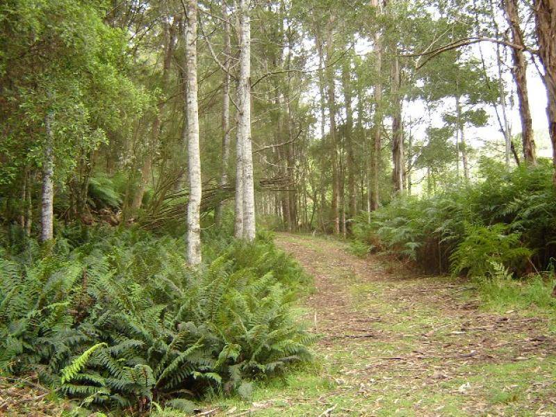 . CAMENA ROAD, West Pine TAS 7316