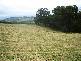. CAMENA ROAD, West Pine TAS 7316