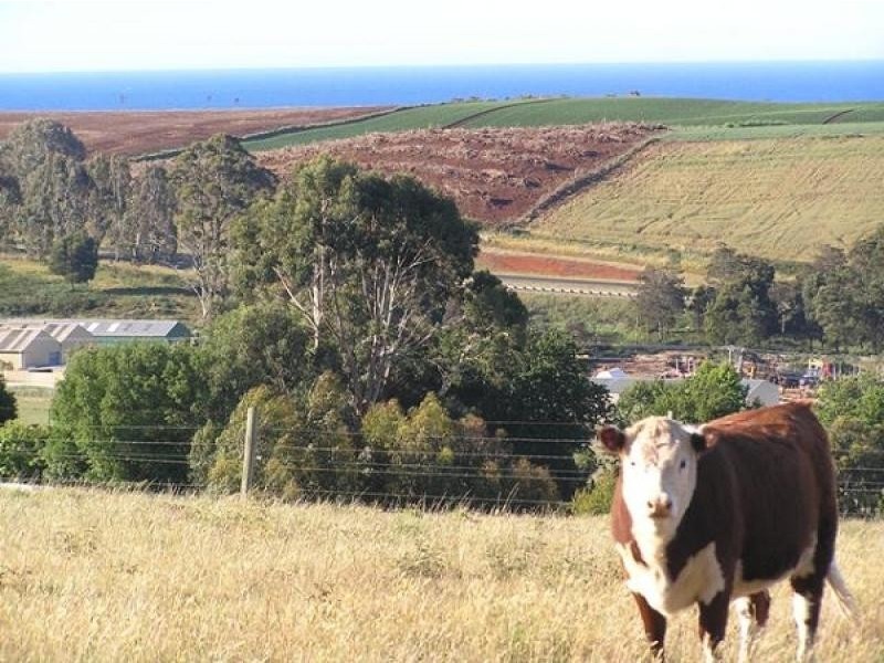 95 WHITE HILLS ROAD, Penguin TAS 7316