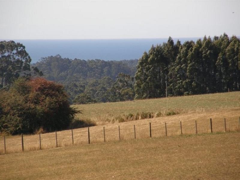 1110 MURCHISON HIGHWAY, Elliott TAS 7325