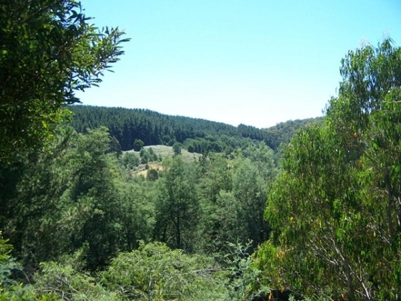 5 GRETA ROAD, Upper Natone TAS 7321