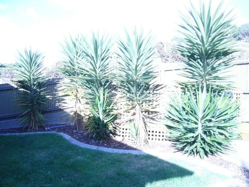 69 BASS HIGHWAY, Burnie TAS 7320