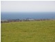 585 Deep Creek Road, Wynyard TAS 7325