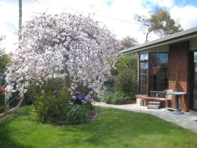 57 Old Bass Highway, Wynyard TAS 7325