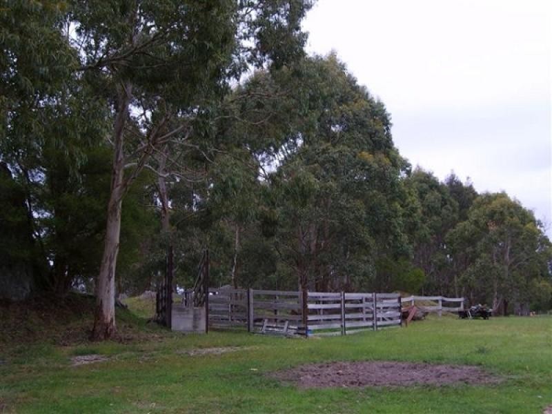 38 Walker Street, Wynyard TAS 7325