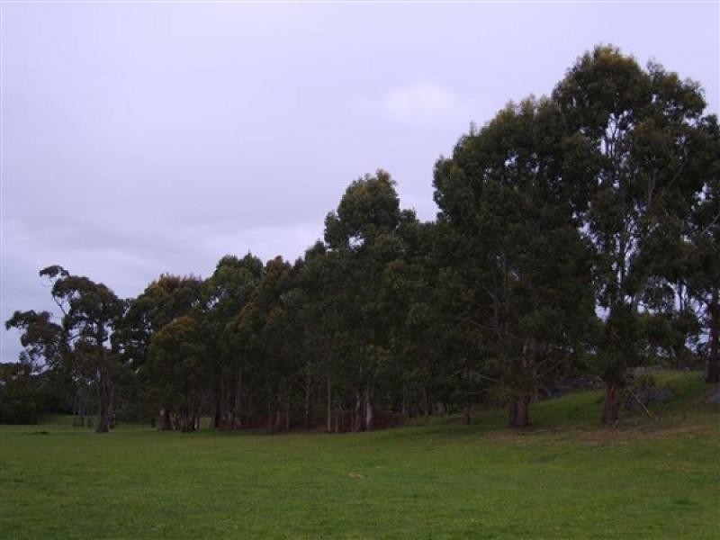 38 Walker Street, Wynyard TAS 7325