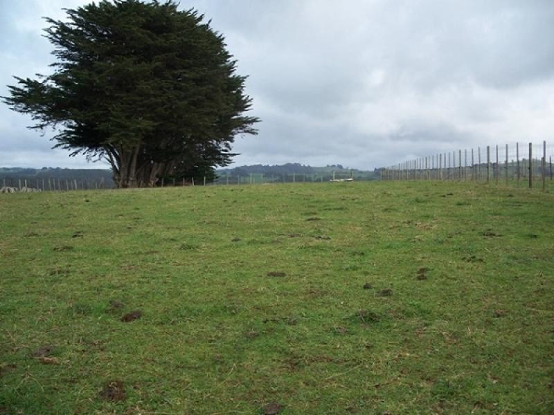 141 Village Lane, Somerset TAS 7322