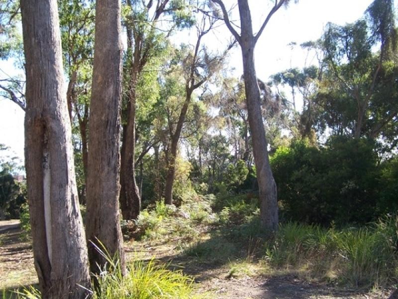 Heybridge TAS 7316