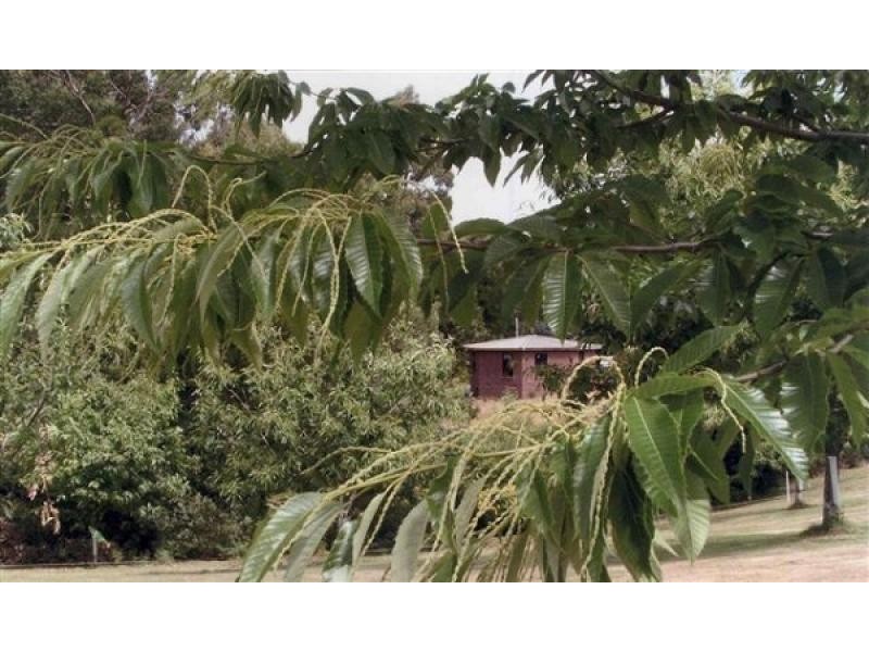 2045 Preolenna Road, Preolenna TAS 7325